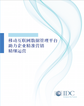 IDC-DMP白皮书