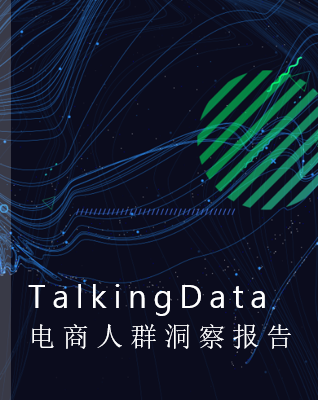 2019-TalkingData电商人群洞察报告