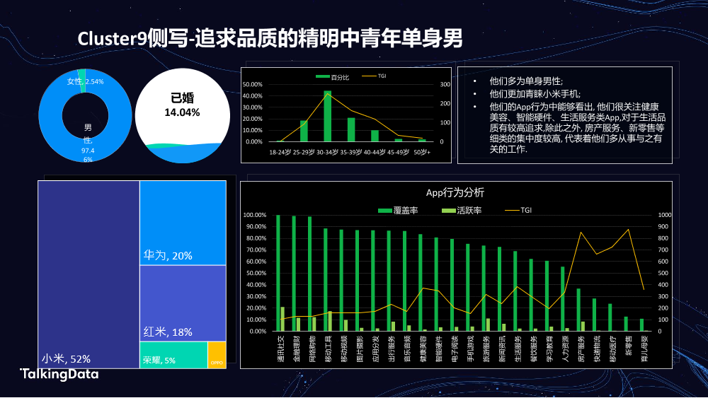 TalkingData汽车人群洞察_1578301508468-14