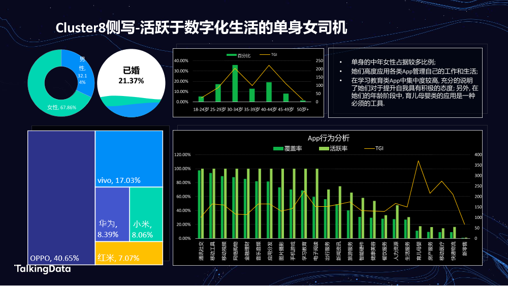 TalkingData汽车人群洞察_1578301508468-15