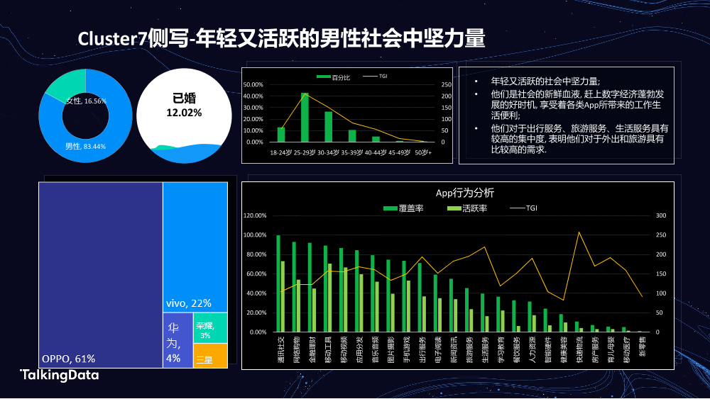 TalkingData汽车人群洞察_1578301508468-16