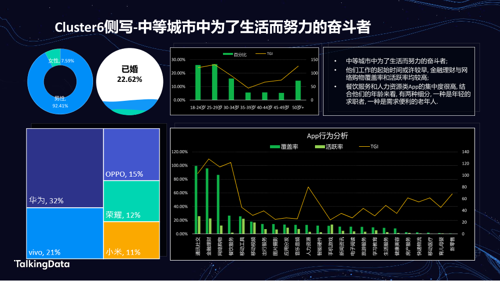 TalkingData汽车人群洞察_1578301508468-17