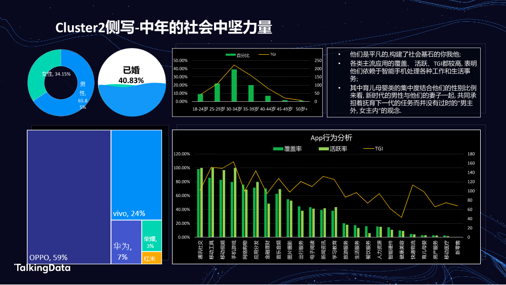 TalkingData汽车人群洞察_1578301508468-21