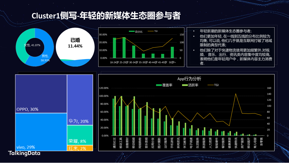 TalkingData汽车人群洞察_1578301508468-22