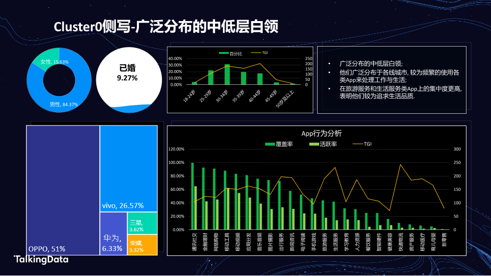 TalkingData汽车人群洞察_1578301508468-23