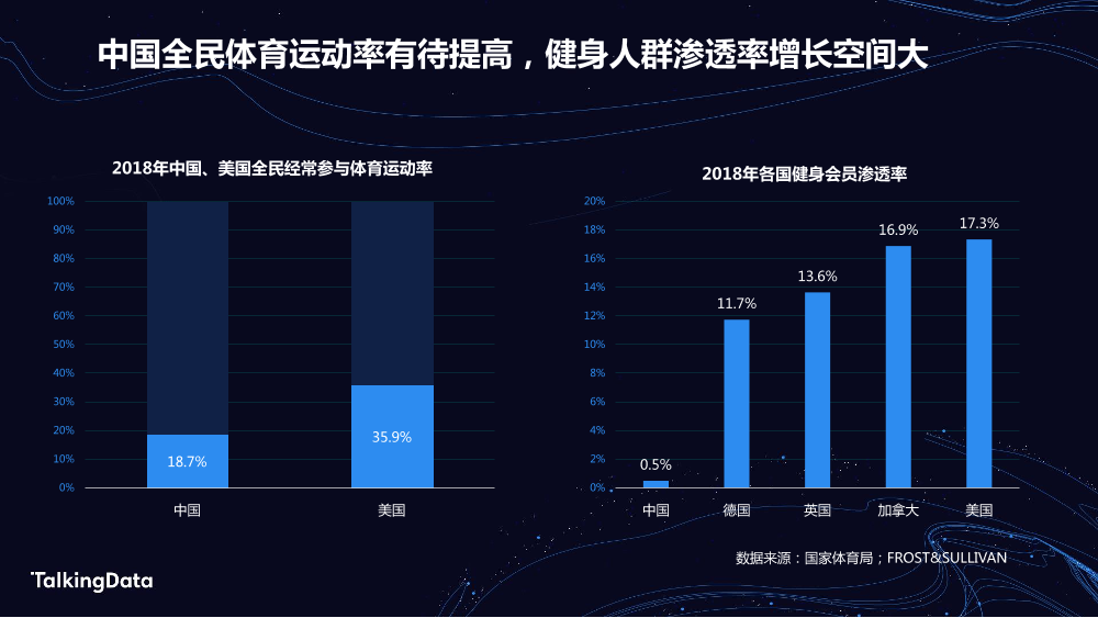 TalkingData运动健康_1578303038657-4