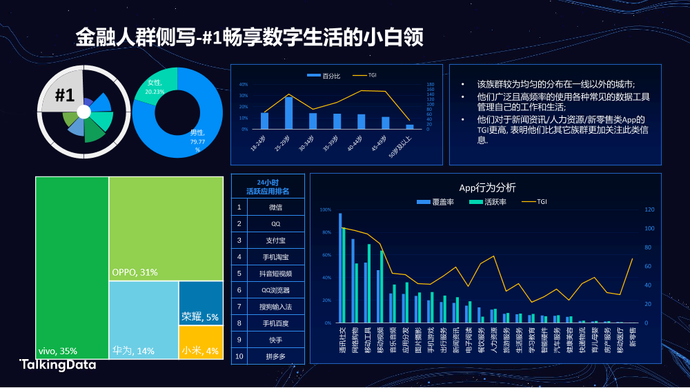 TalkingData金融人群_1578301042905-11