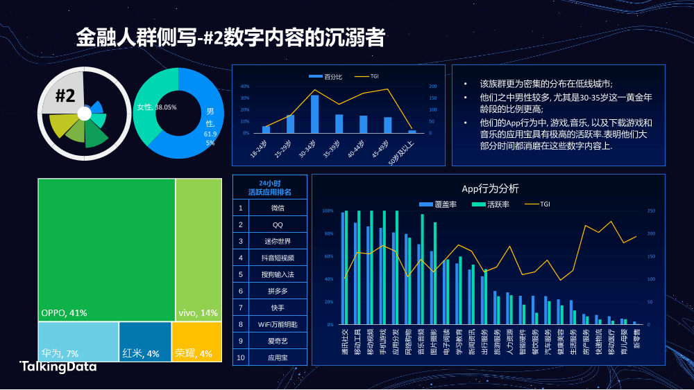 TalkingData金融人群_1578301042905-12