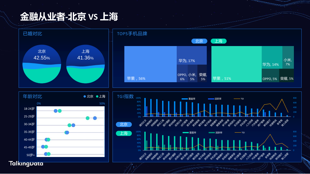 TalkingData金融人群_1578301042905-6