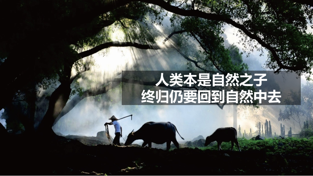 /【T112017-新消费分会场】大数据视角下的特色小镇-15